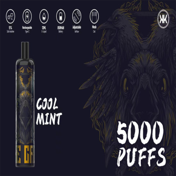 Energy Vape 5000 Puffs Disposable Vape