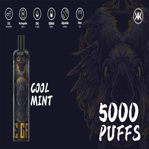 Energy Vape 5000 Puffs Disposable Vape