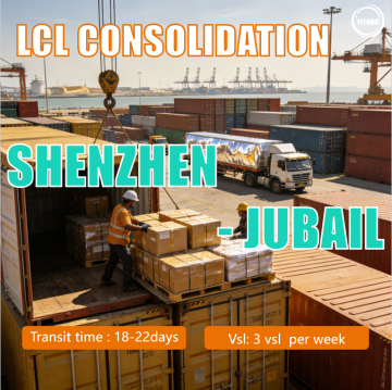 Trasporto marittimo LCL da Shenzhen all'Arabia Saudita