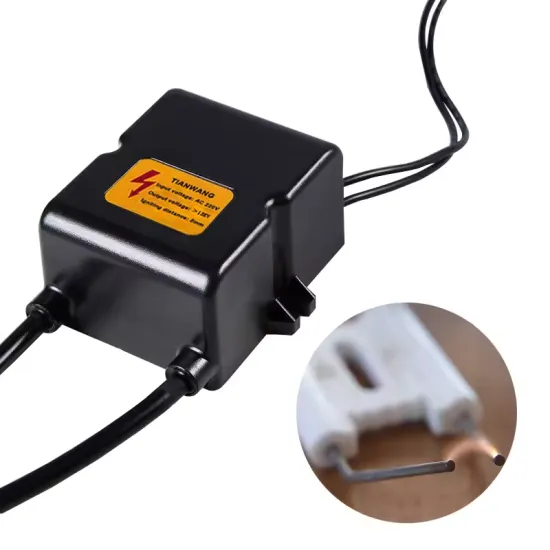 220V Gas Stove Ignitor with Ceramic Needle for Boiler Combustion