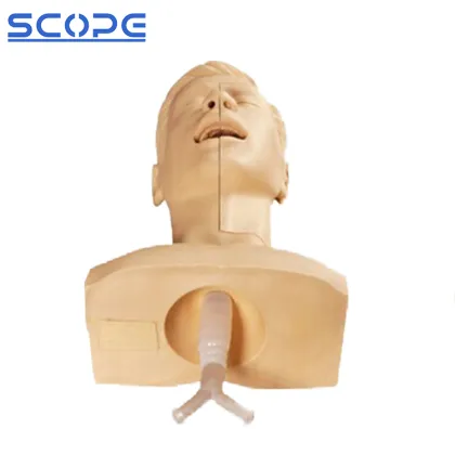 PVC Advanced Sputum Suction Nursing Manikin SC-H85