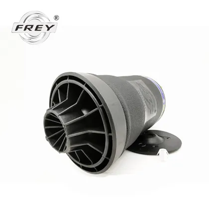 Rear Air Suspension repair bag parts automotive 2513200425