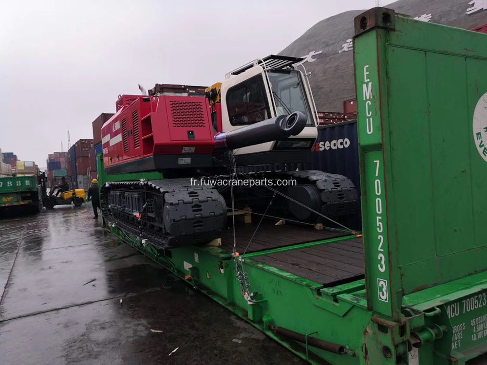 Grue sur chenilles à grande flèche télescopique à vendre