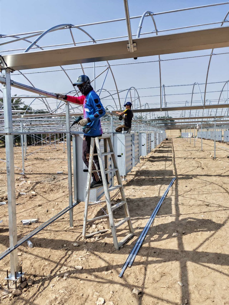 Chongqing Qingcheng Agriculture Accelerates Overseas Expansion; Qatar Greenhouse Project Progress Receives High Praise