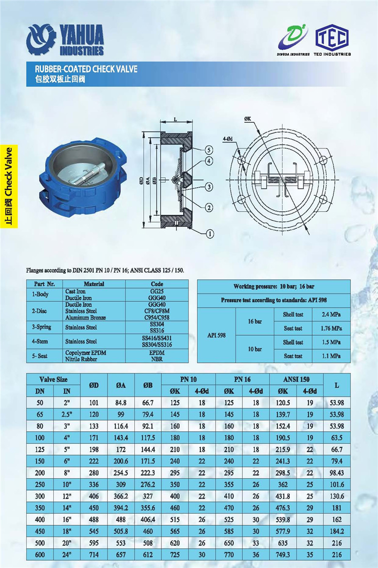 Rubber Coated Check Valve - Manufacturer