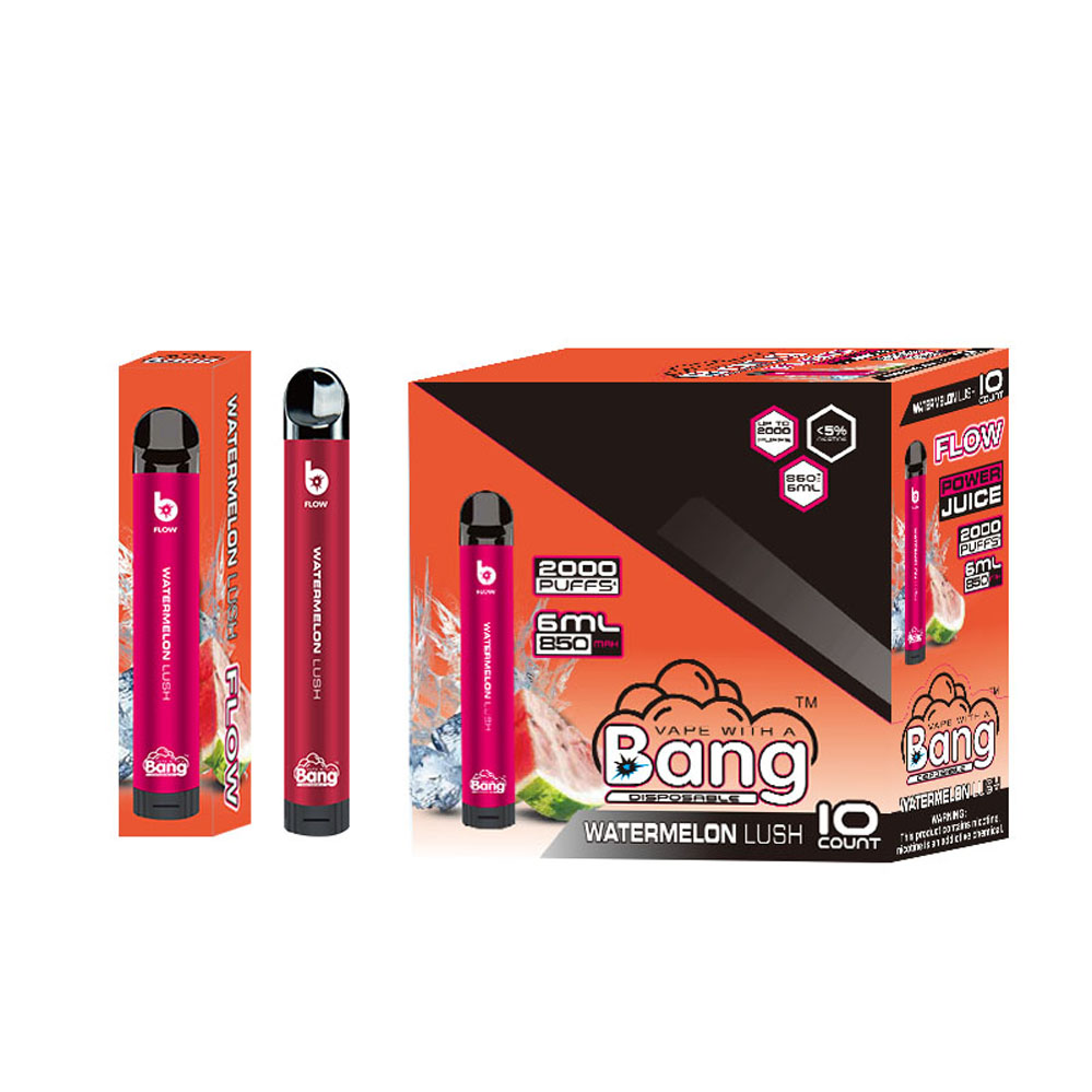 Chargeur de vape rechargeable de flux de bang bouclé jetable