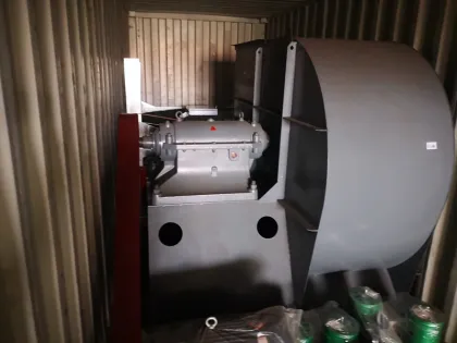 Biomass fuels furnace environmental protection equipment