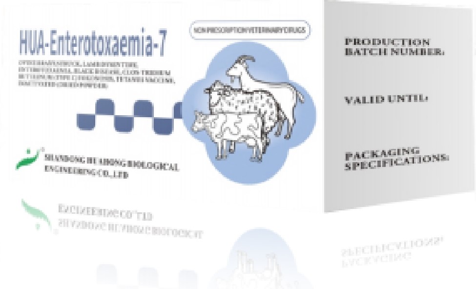 HUA-Enterotoxemia-7 HUA-Enterotoxaemia-7