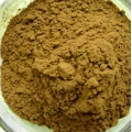 Microcos Paniculata Extract Facotry Supplier