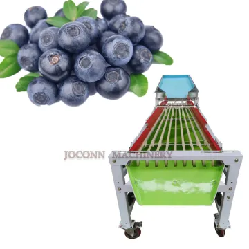 Orange and Tomato Fruit Sorting and Grading Machine