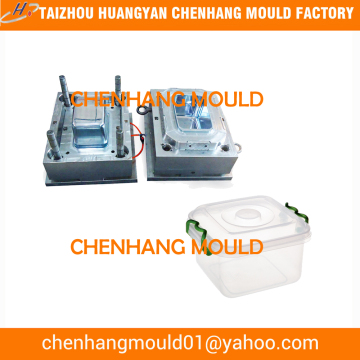 Injection Molding Plastic Taizhou Mould Suppliers