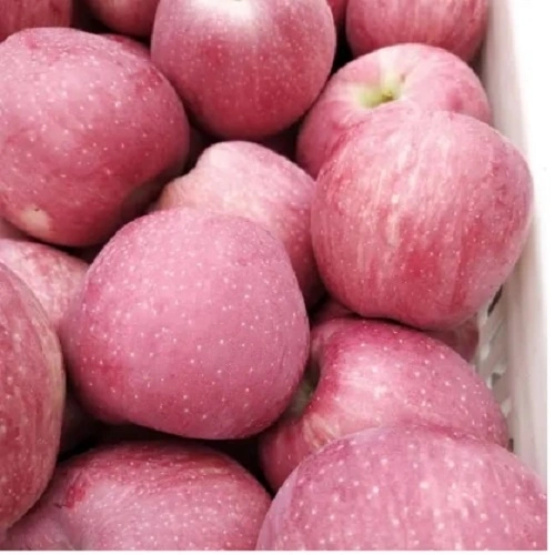 Hot Selling China Export High Quality Fresh Apple New Crop Natural Organic  Red FUJI Apple Fruit - China Apples, Food