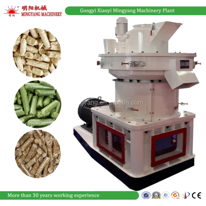 Biomass Fuel: Rice Husk, Grass, Sawdust, and Wood Pellets