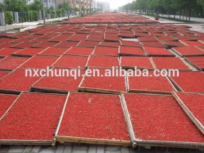 Dried wolfberry in bulk