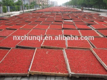 Manufacturer supply Top Quality goji berry/gouji with best price