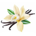 Pure Natural Vanilla Essential Oil