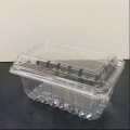 Disposable Plastic Strawberry Packaging Box