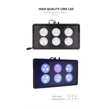 WRGB LED AquariM Lights Bể cá biển