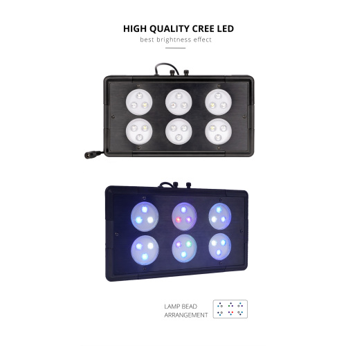 WRGB LED Aquarium Lights Tangki ikan laut