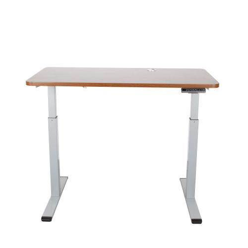 Hot Saling Dual Motor Office Furniture Standing Desk