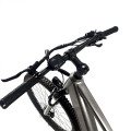 Foldable Electric Bicycle for Adults