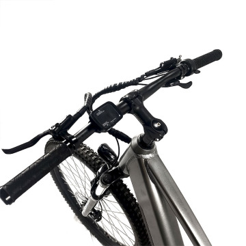 Foldable Electric Bicycle for Adults