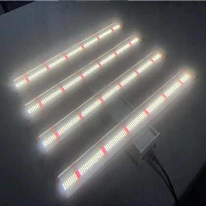 Top 600W COB Led Grow Light Samsung