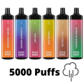 Esco barras 5000 Melhor preço descartável Vape aqui