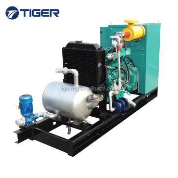 Green Biogas Cogeneration for Electricity and Heat