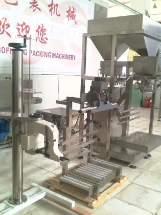 Putty powder packing machine