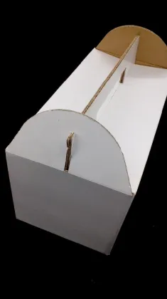 apple fruit packaging boxes banana corrugated box packaging