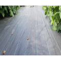 black plastic PP ground cover