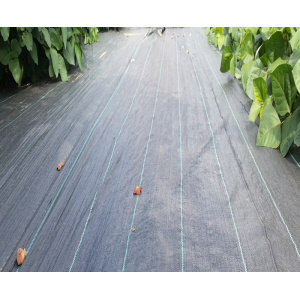 black plastic PP ground cover