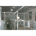 Dairy used middle set milking parlor