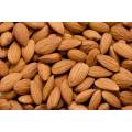 Vitamine naturelle B17 AMYGDALIN EN POUDRE AMENT AMANDE D'ALMOND