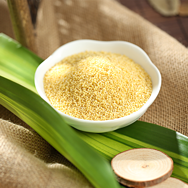 Top quality fresh yellow millet