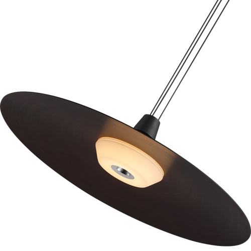 Pendant Lamp Modern Minimalist Chandelier