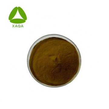 Dandelion Root Extract 10% Flavonoids Powder