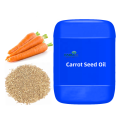 Carrot seed oil basic beauty oil skin care