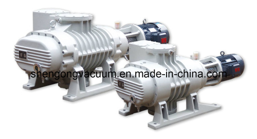 Vacuum Pumps (ZJP-600, ZJP-1200A)