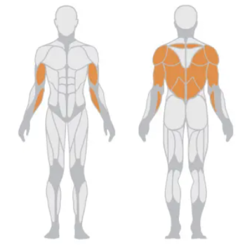 side flat lifting chest trainer