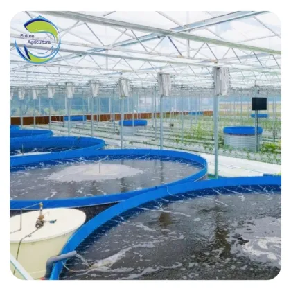 RAS Aquaculture Systems for Tilapia, Catfish, and Shrimp