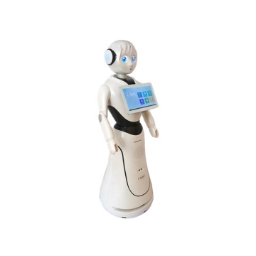 CSJBOT Alice: High-Quality Reception Security Robot for Sale