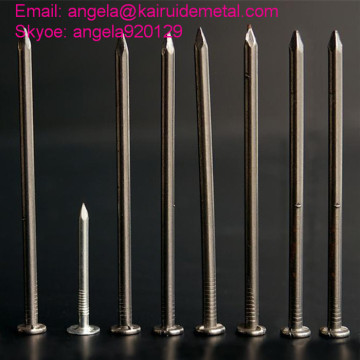 Electro Galvanized 1-6 Inch Concrete Steel Nail