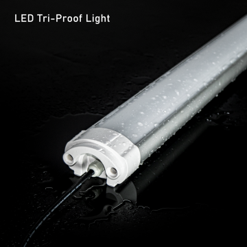 2/3/4ft wasserdichtes IP65 Industrial LED Dampf -Dampf -Leuchte -Leuchte