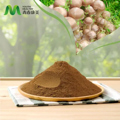 High Quality Antler Mushroom Extract