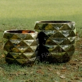 パイナップル形状の窓の植物鍋