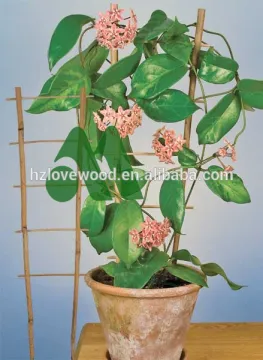 Bamboo Ladder Trellis/bamboo trellis/bamboo plant trellis