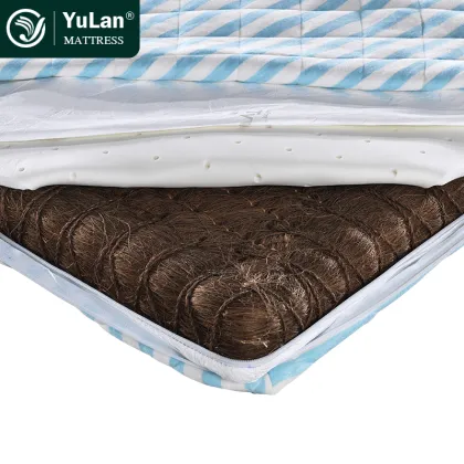 Coconut Palm Coir Fiber Mattress Pad - Cheap Queen Size Mattress for School, Hospital, and Home