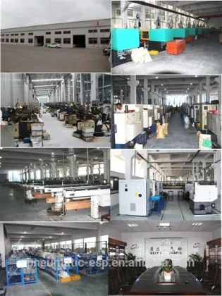 AR Series Air Regulator AR2000